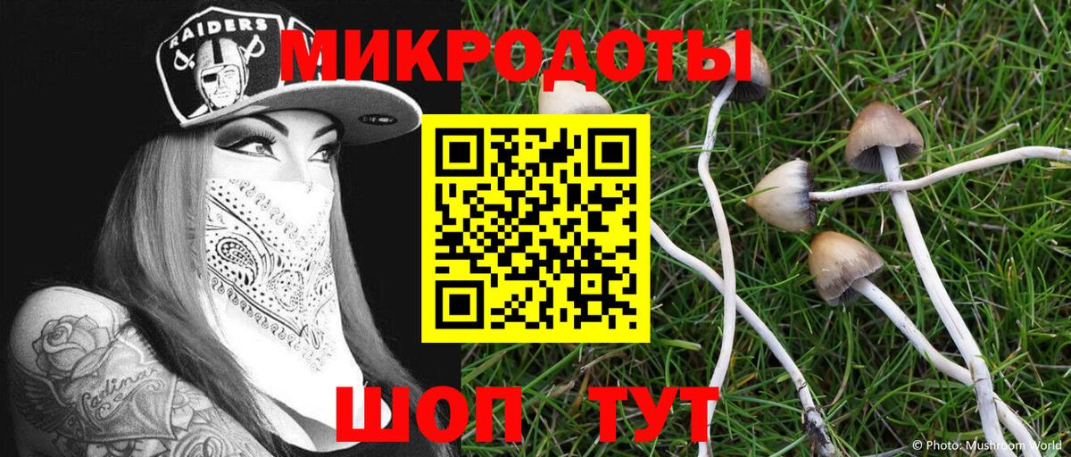 Галлюциногенные грибы мицелий Сургут