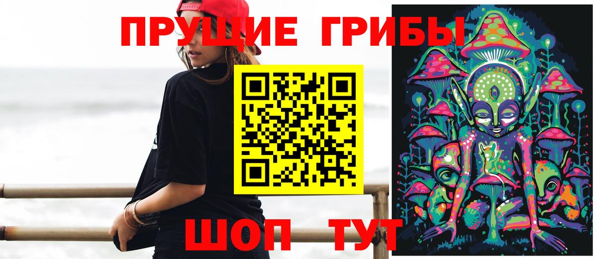 Псилоцибиновые грибы Cubensis  Вход с VPN  Сургут 